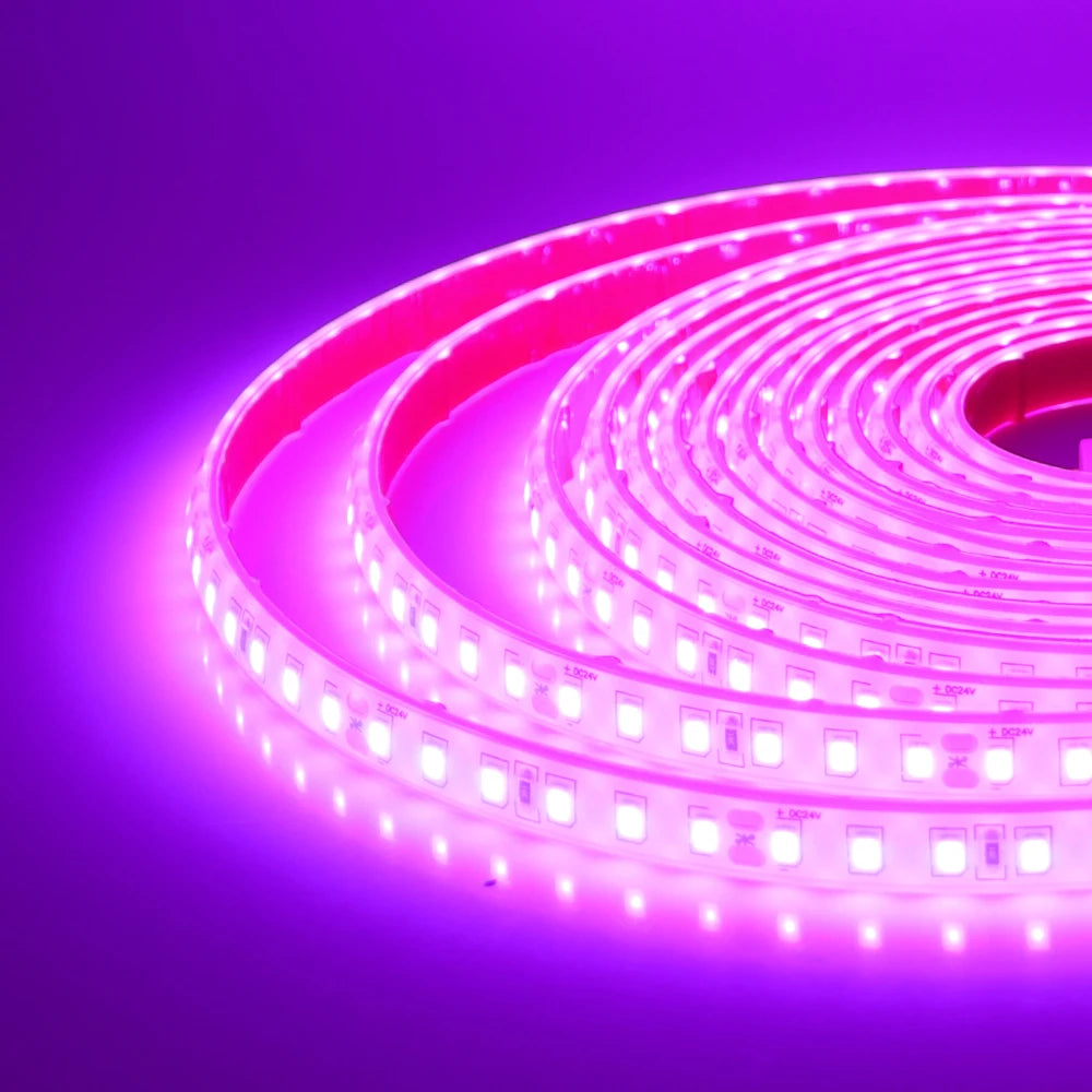 Bande LED Lumineuse IP68 Étanche 24V – Décoration Intérieure & Extérieure