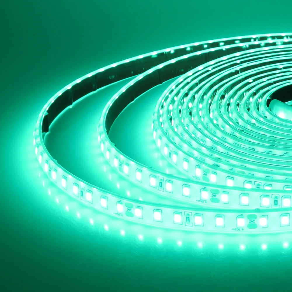 Bande LED Lumineuse IP68 Étanche 24V – Décoration Intérieure & Extérieure